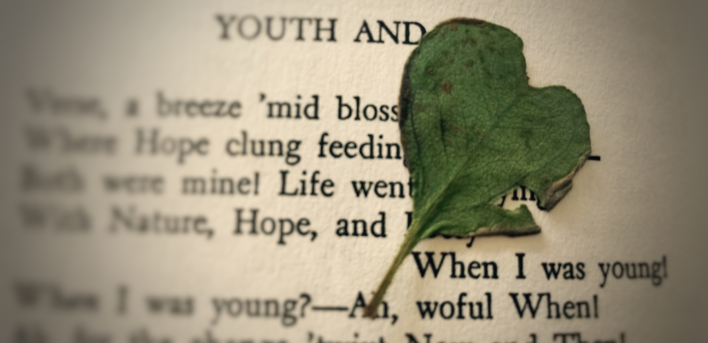 A Heart-Shaped Leaf: notes from an adoptive mother